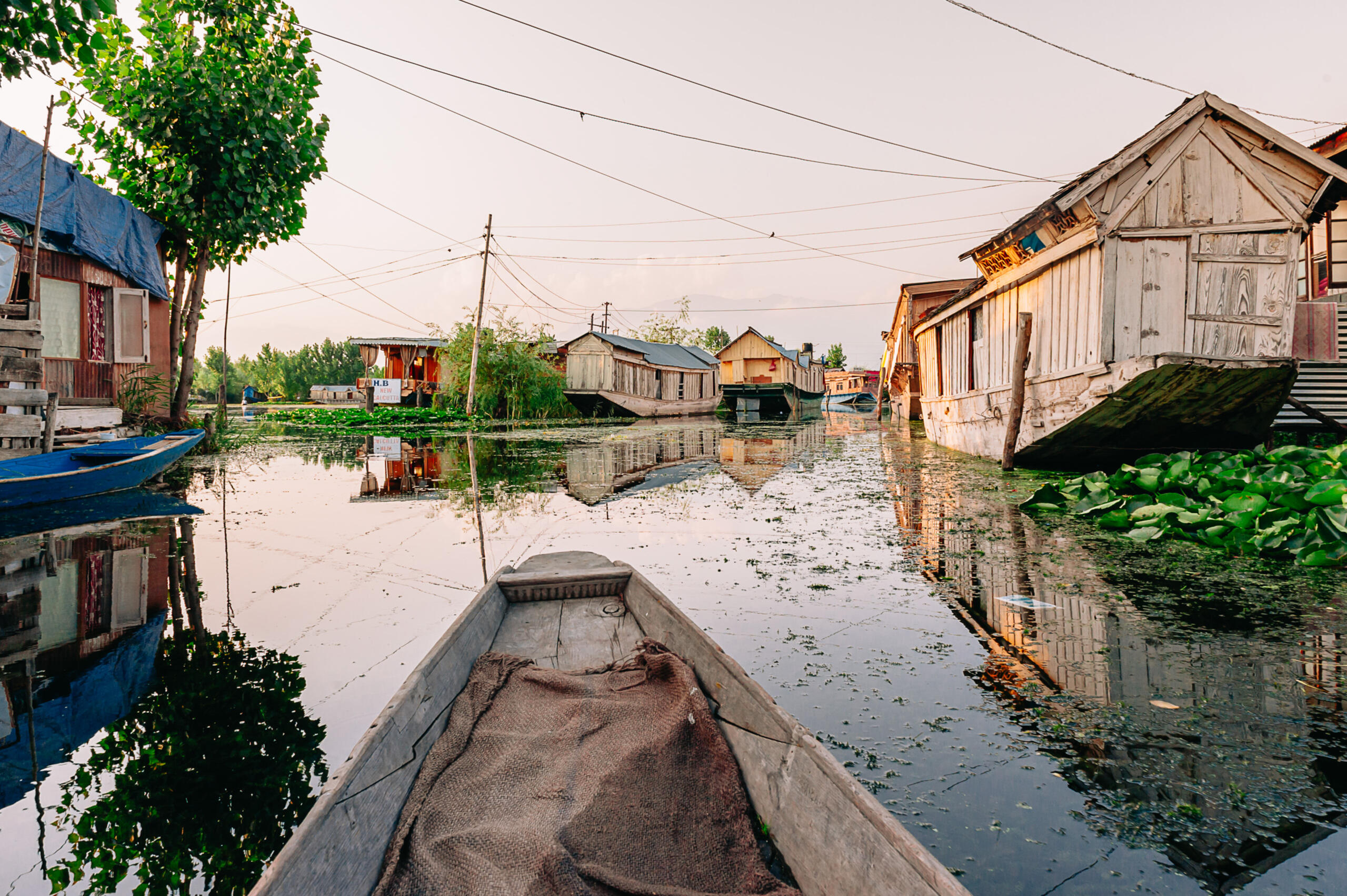 Shikara (wooden boats, some used as floating homes) on Dal Lake